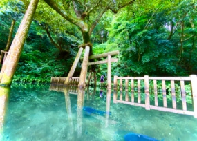 Kashima Shrine