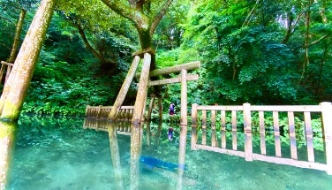 Kashima Shrine