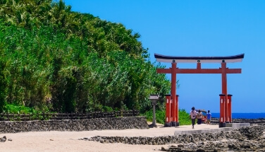 Aoshima Shrine