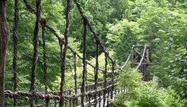 Iya no Kazurabashi