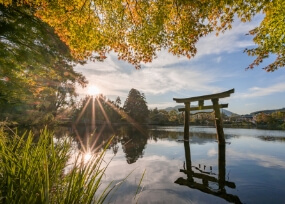 Blue Pond