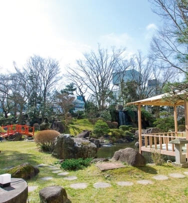 garden
