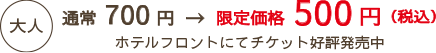 大人500円
