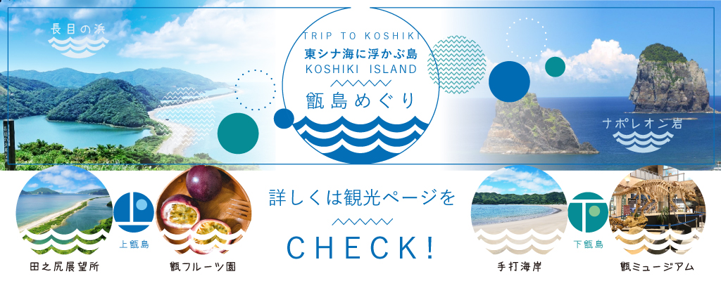 ファクトリーブランド - 青潮 西道行 甑島 - で 売れる:8950円