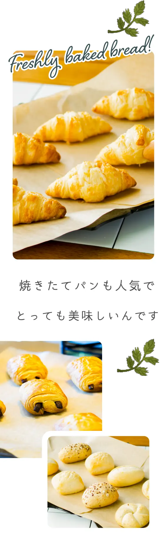 焼きたてパン