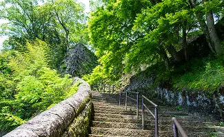 新緑に包まれた竹田城跡の石段（夏）